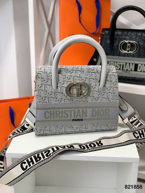 Сіра сумка Cristian Dior