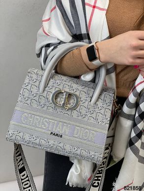 Серая сумка Cristian Dior